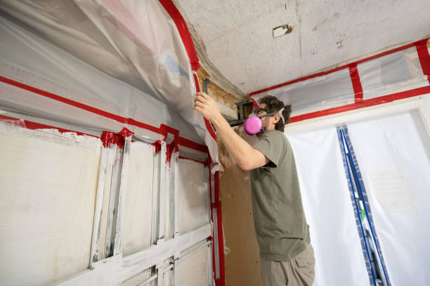 Best Asbestos and Lead Testing During Mold Inspection  in India Hook, SC